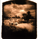 Illustration for article titled Eerie photographs taken with a camera made from a human skull